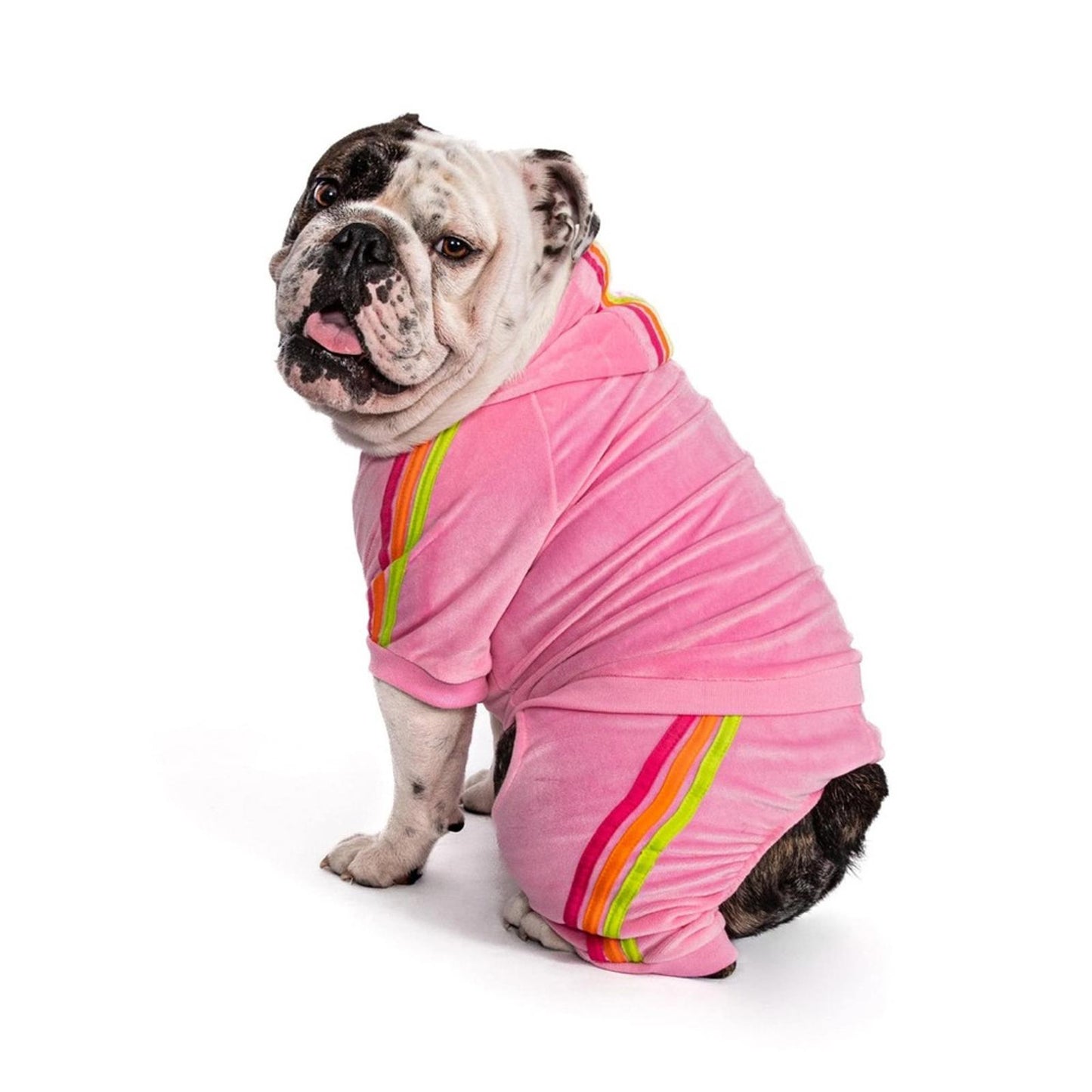 Fabdog Pink Velour Jogger, 16” NEW with Tag