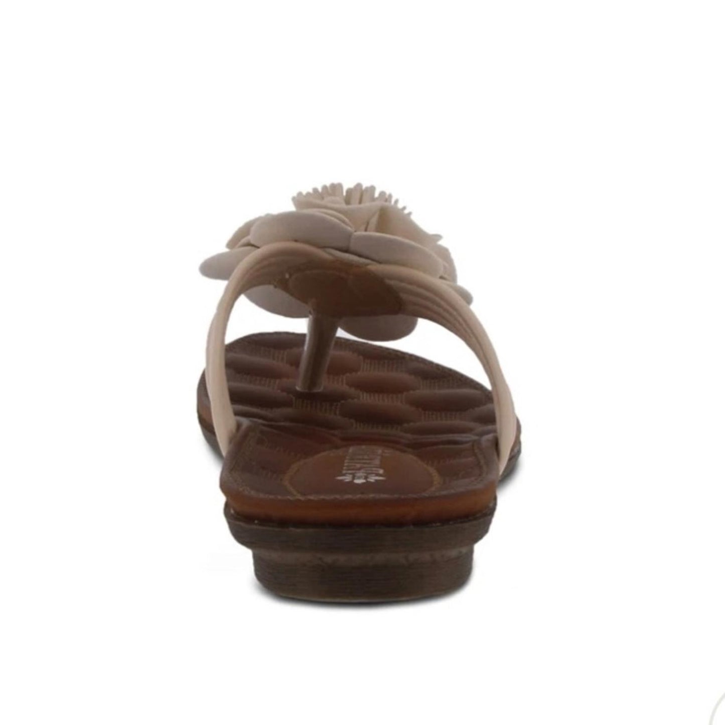 Patrizia Cattara Sandals in Beige/Brown Size 36 (5.5-6) New in Box
