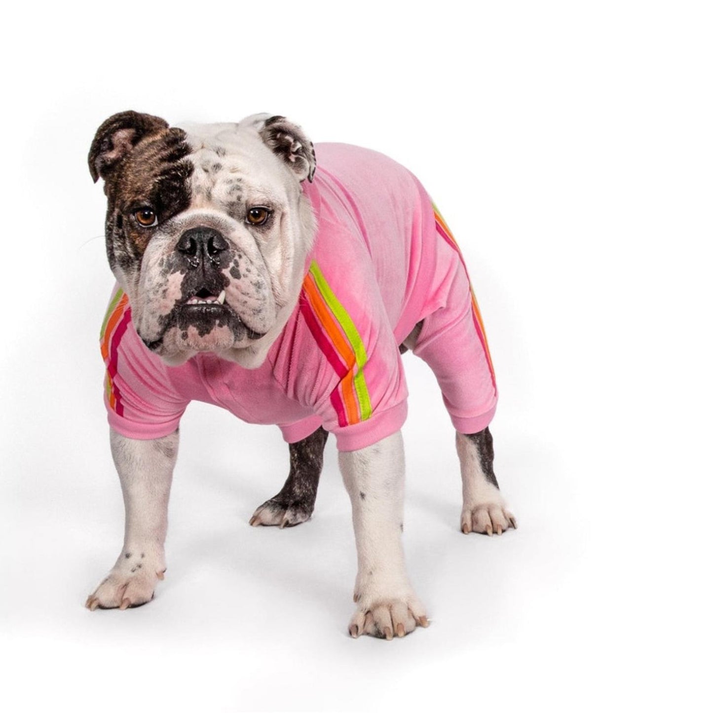 Fabdog Pink Velour Jogger, 16” NEW with Tag