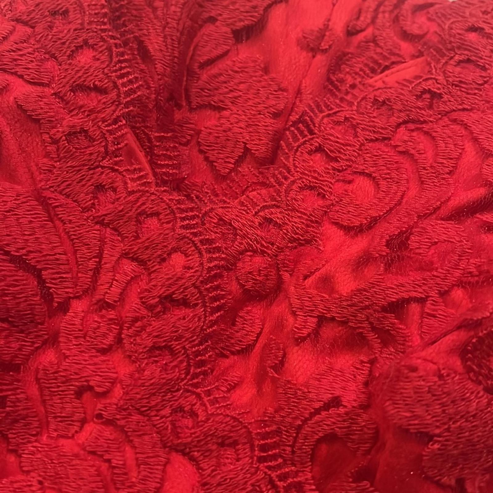 Tadashi Shoji Petite Caria Embroidered Lace Dress in Red, Size 6P Retail $368