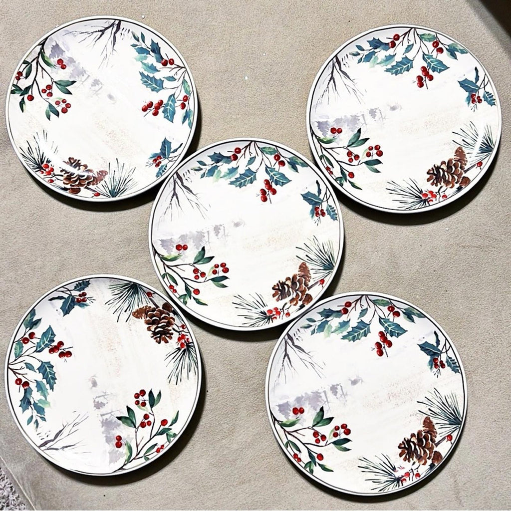 NEW Robert Stanley Ceramic Plates 5-Piece Set ($7.99/each) New with Tags $40