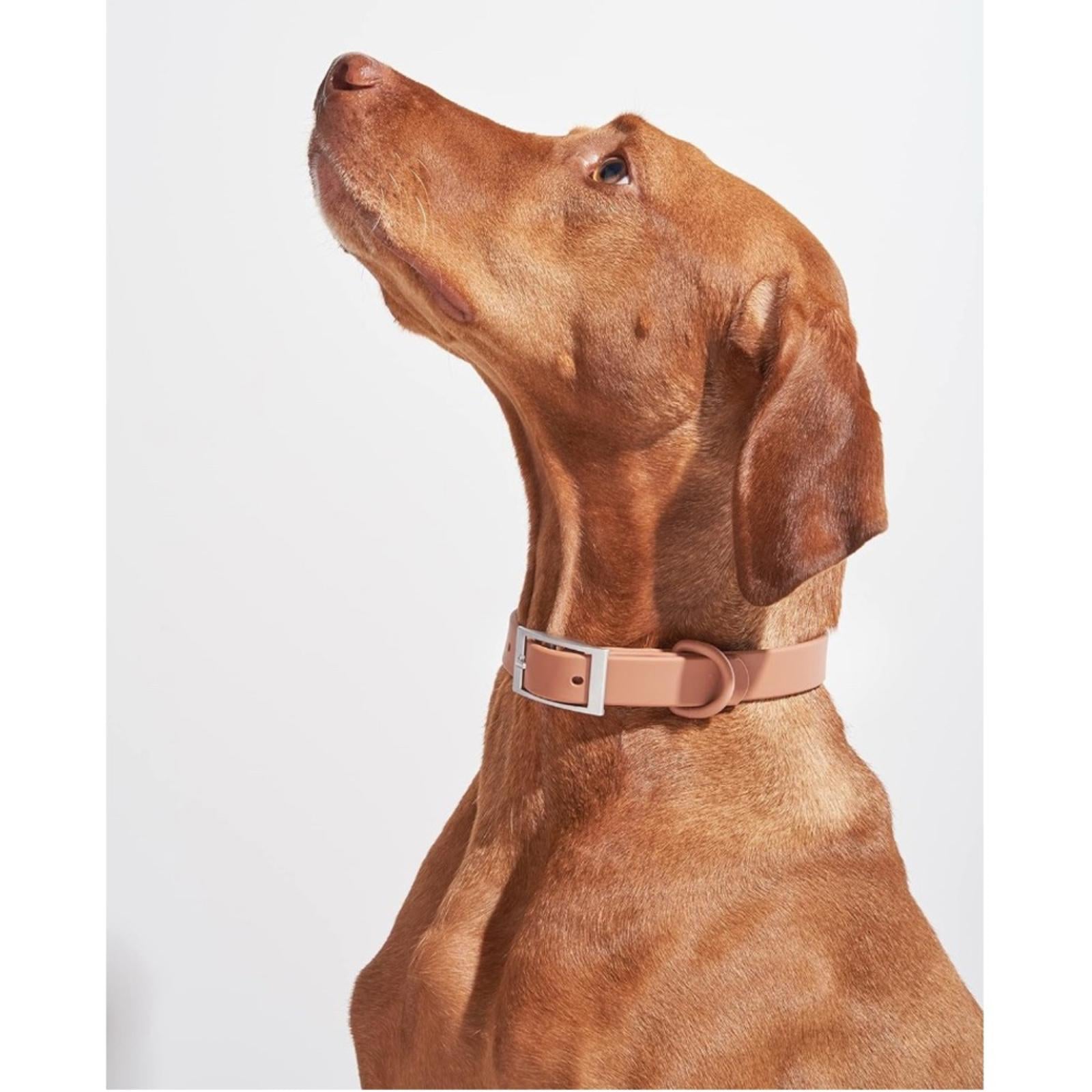 Wild One Collar in Cocoa, Size Small New w/Tag
