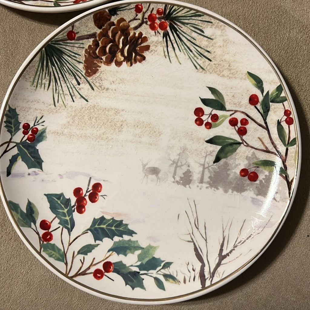NEW Robert Stanley Ceramic Plates 5-Piece Set ($7.99/each) New with Tags $40