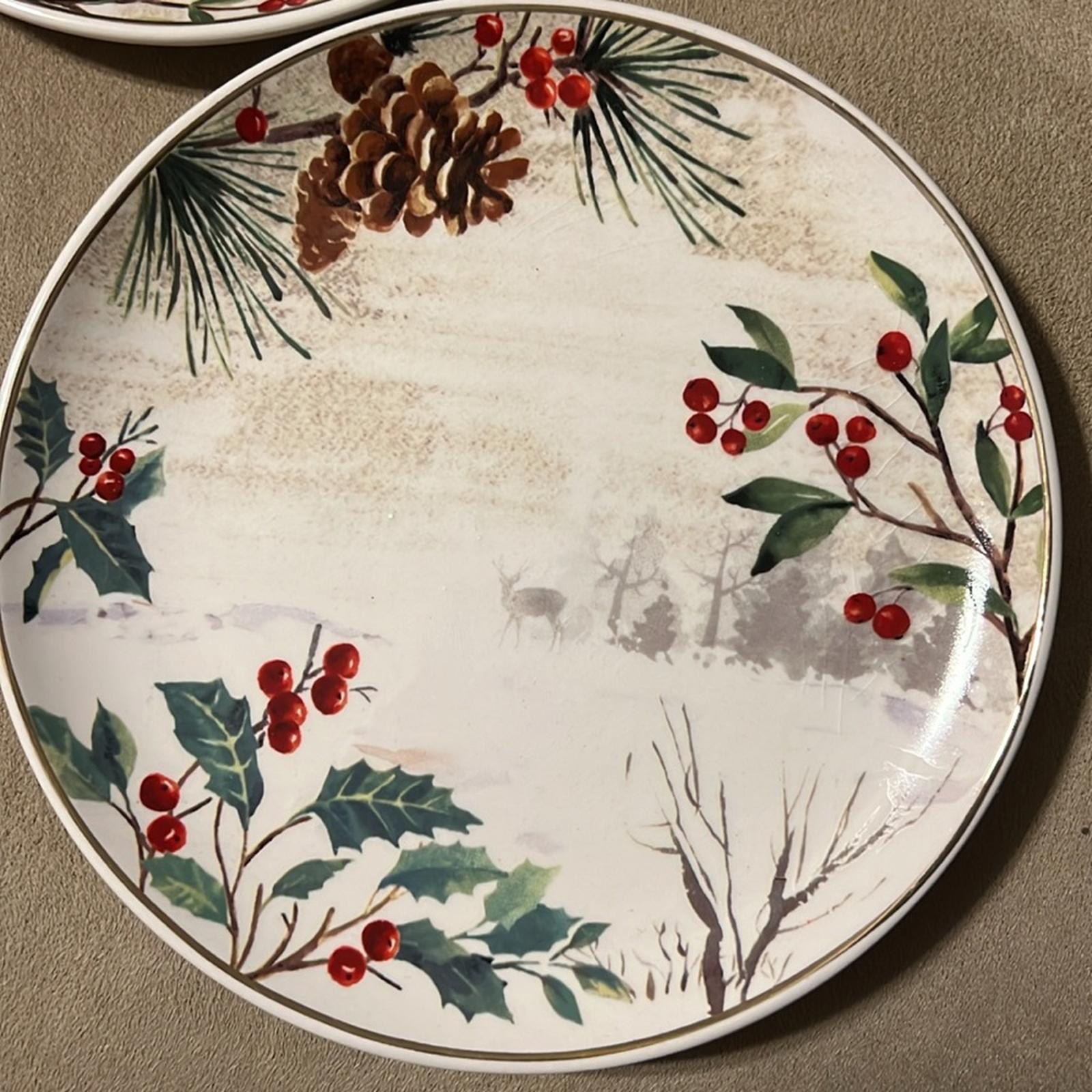 NEW Robert Stanley Ceramic Plates 5-Piece Set ($7.99/each) New with Tags $40