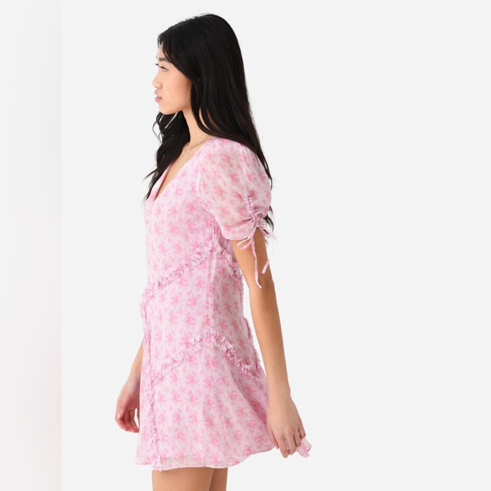 LoveShackFancy Posh Mini Dress, Rose Patch Size 4 New w/Tag Retail $445