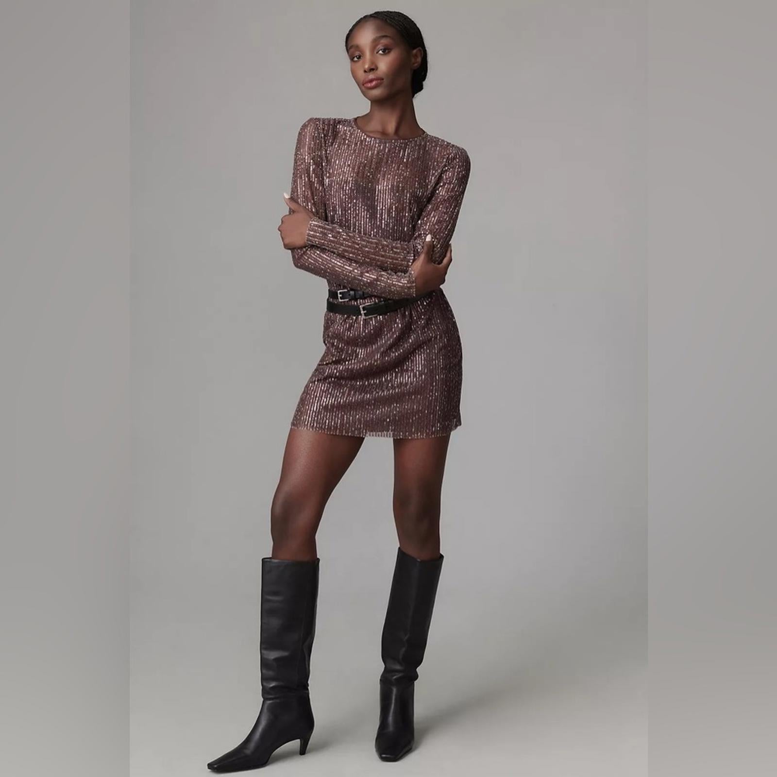 Walter Baker Bellini Dress, City Sequin Size XL NEW w/Tag $368