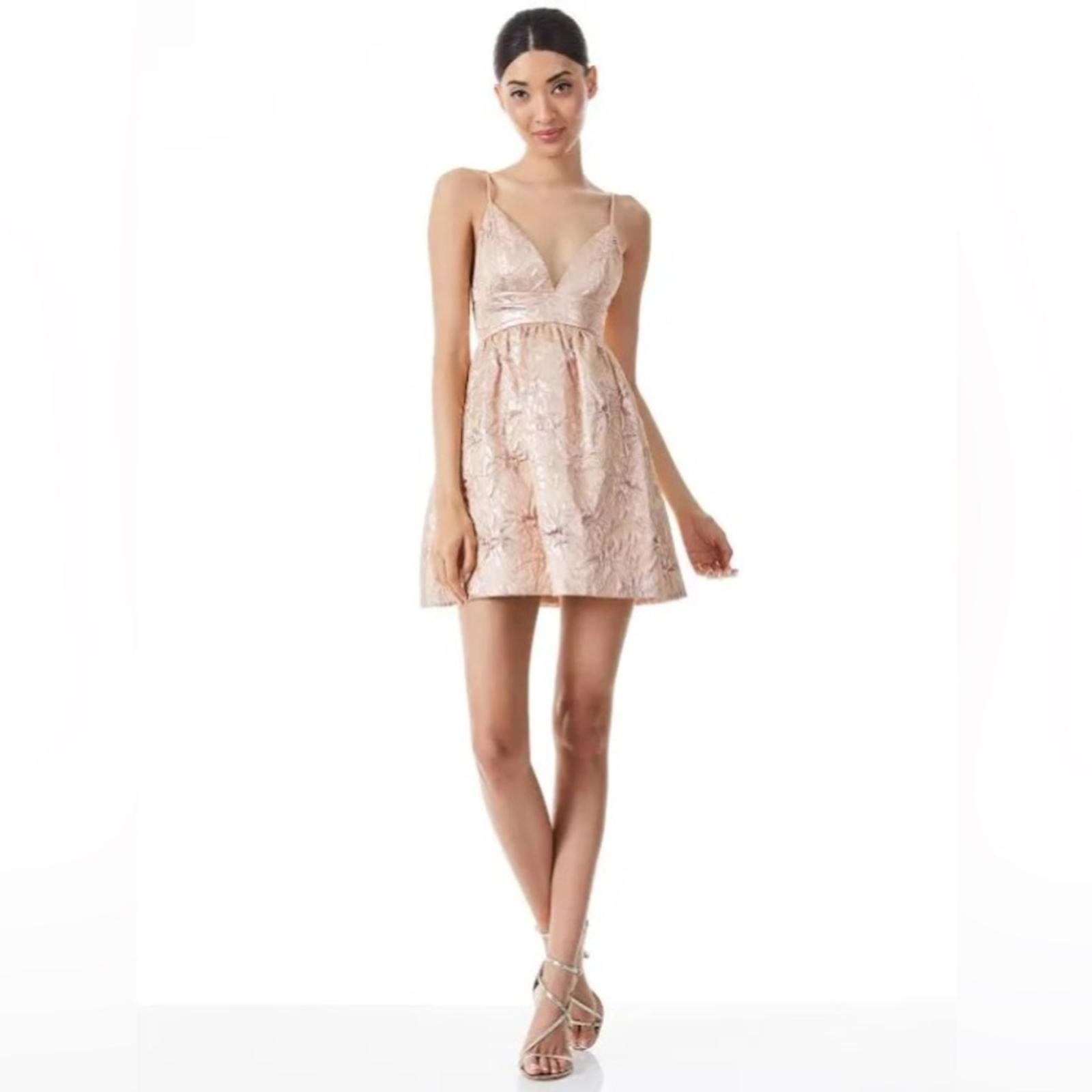 Alice+Olivia Foley Brocade Party Dress, Rose Gold, Revolve Size 0 New w/Tag $495