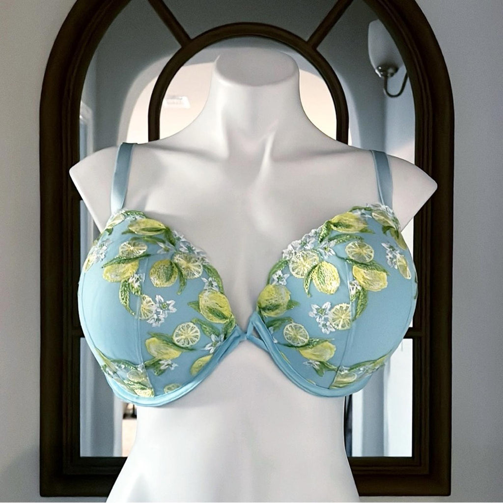 Victoria's Secret Dream Angels Lemon Embroidery Demi Bra in Blue Size 38DDD