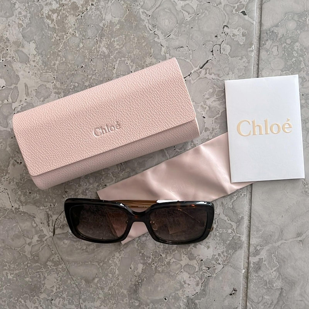 Chloe Gradient Rectangle Acetate Sunglasses, Full Inclusion- Case, Wipe, NEW