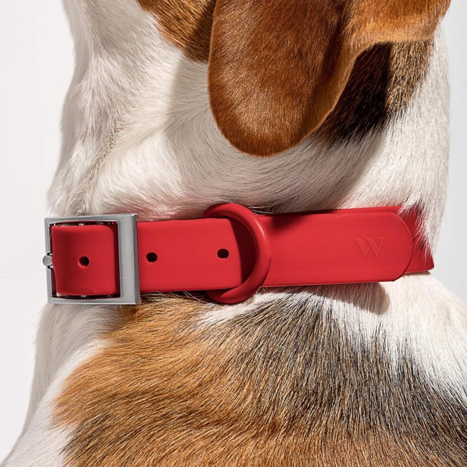 Wild One Collar Size XL - Red New w/Tag