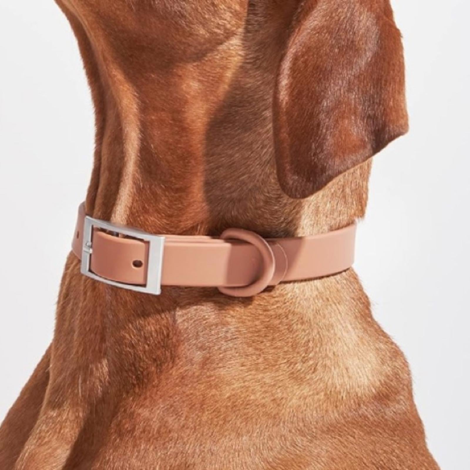 Wild One Collar in Cocoa, Size Small New w/Tag