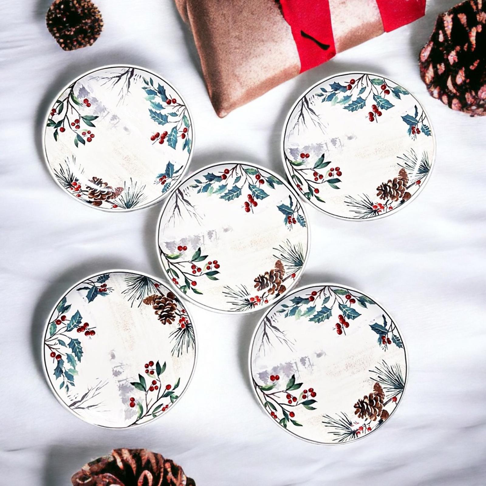 NEW Robert Stanley Ceramic Plates 5-Piece Set ($7.99/each) New with Tags $40