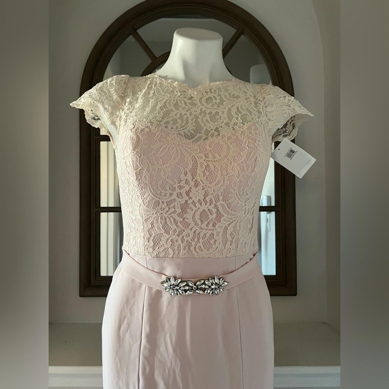 Jenny Packham Lace & Crepe Column Gown in Blush Pink, Size 4, New w/Tag $290