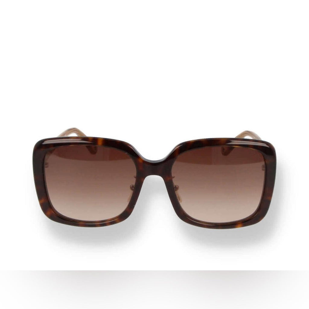 Chloe Gradient Rectangle Acetate Sunglasses, Full Inclusion- Case, Wipe, NEW