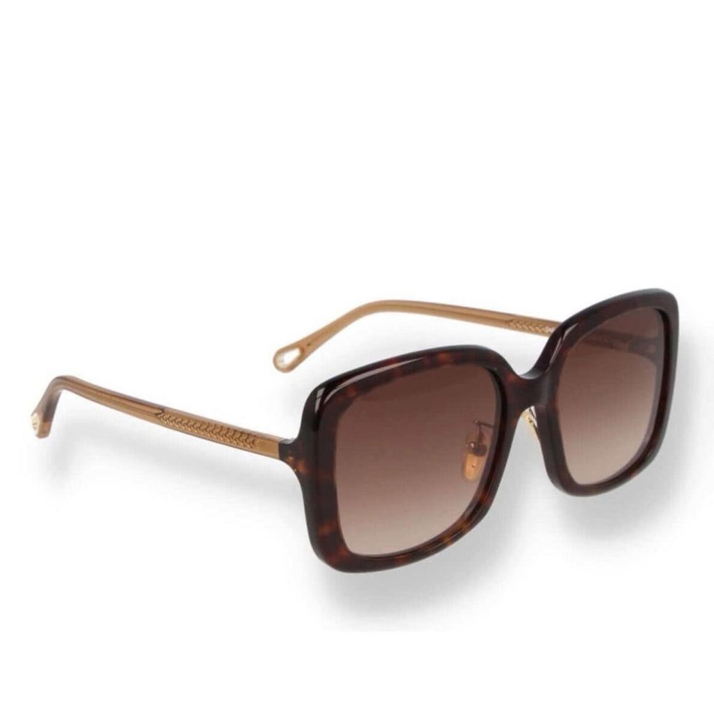 Chloe Gradient Rectangle Acetate Sunglasses, Full Inclusion- Case, Wipe, NEW