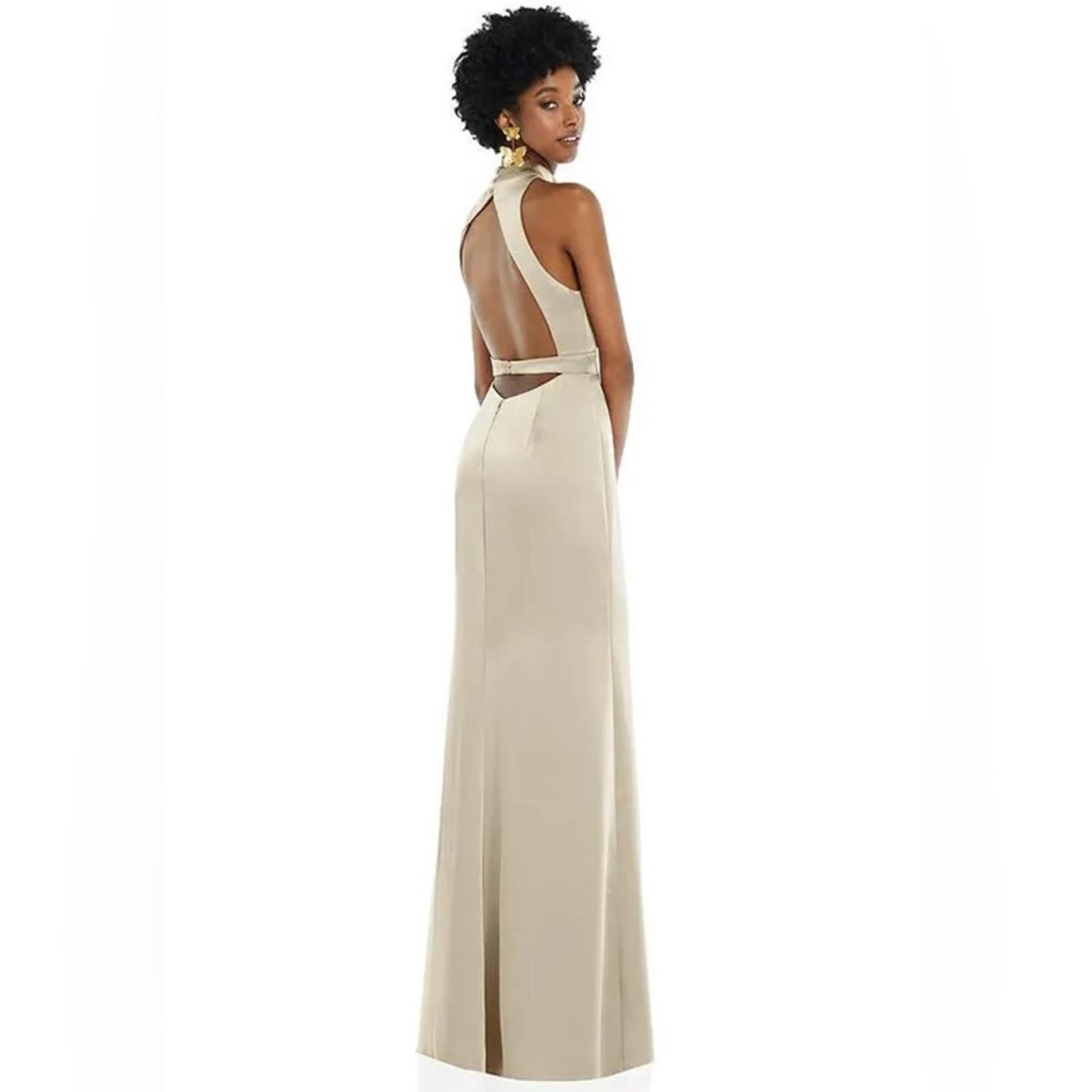 NEW Lovely High Neck Backless Maxi Dress With Slim Belt, Champagne Size 2, $242