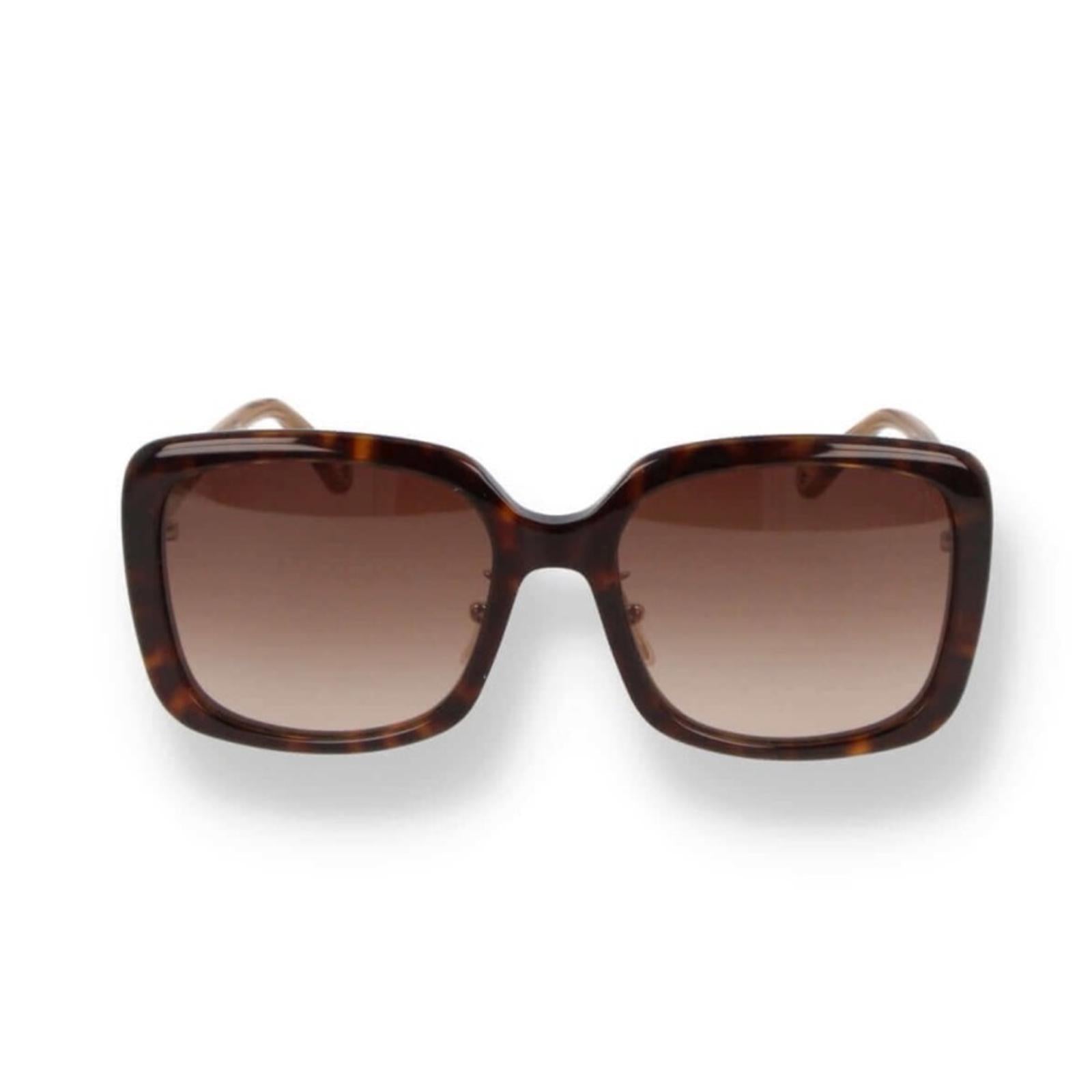 Chloe Gradient Rectangle Acetate Sunglasses, Full Inclusion- Case, Wipe, NEW