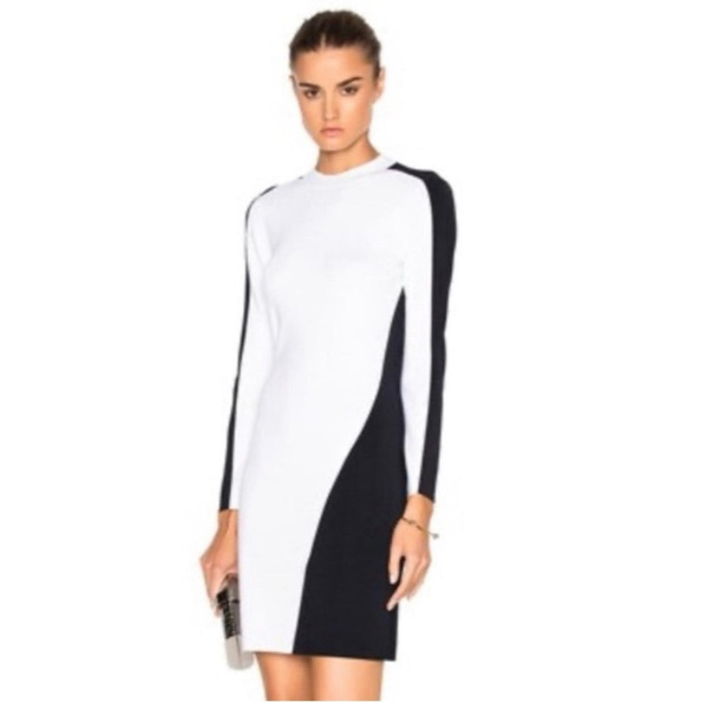 Rag & Bone Cecilee Long-Sleeve Colorblock Sheath Dress REVOLVE, Size XS NEW $395