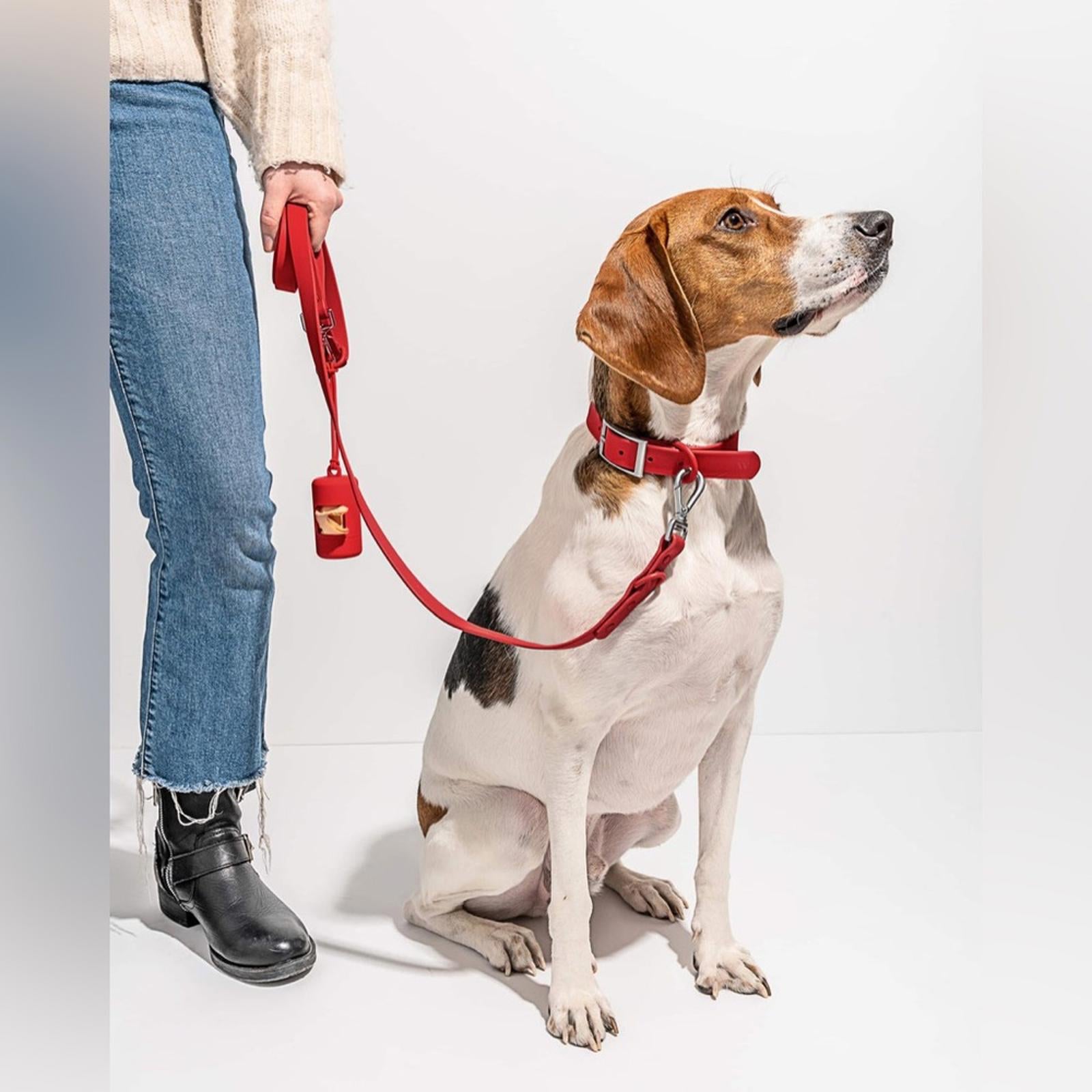 Wild One Collar Size XL - Red New w/Tag