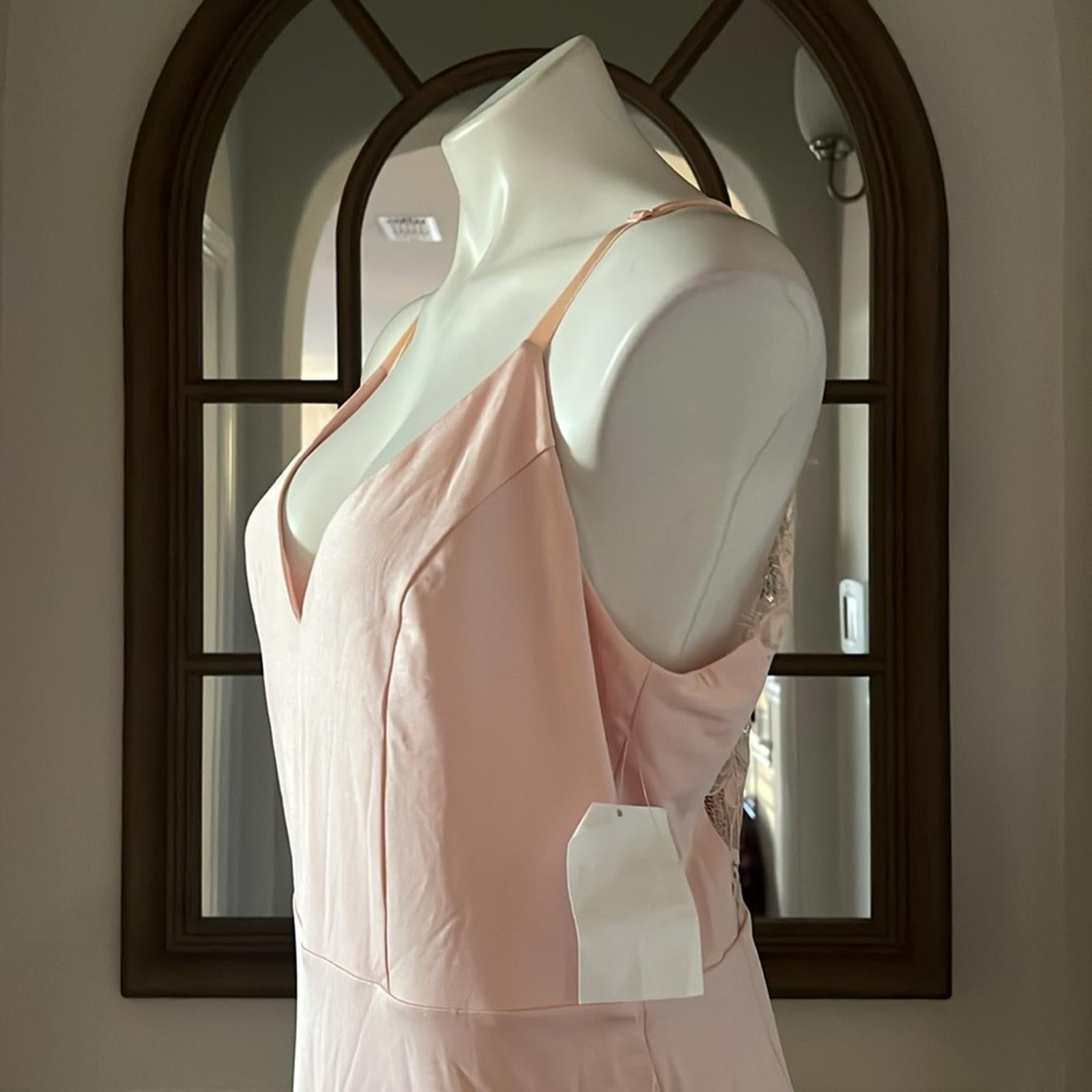 Bebe Lace Inset Sleeveless Eyelash Hem Bodycon Dress in Blush Pink, Size XL NWT
