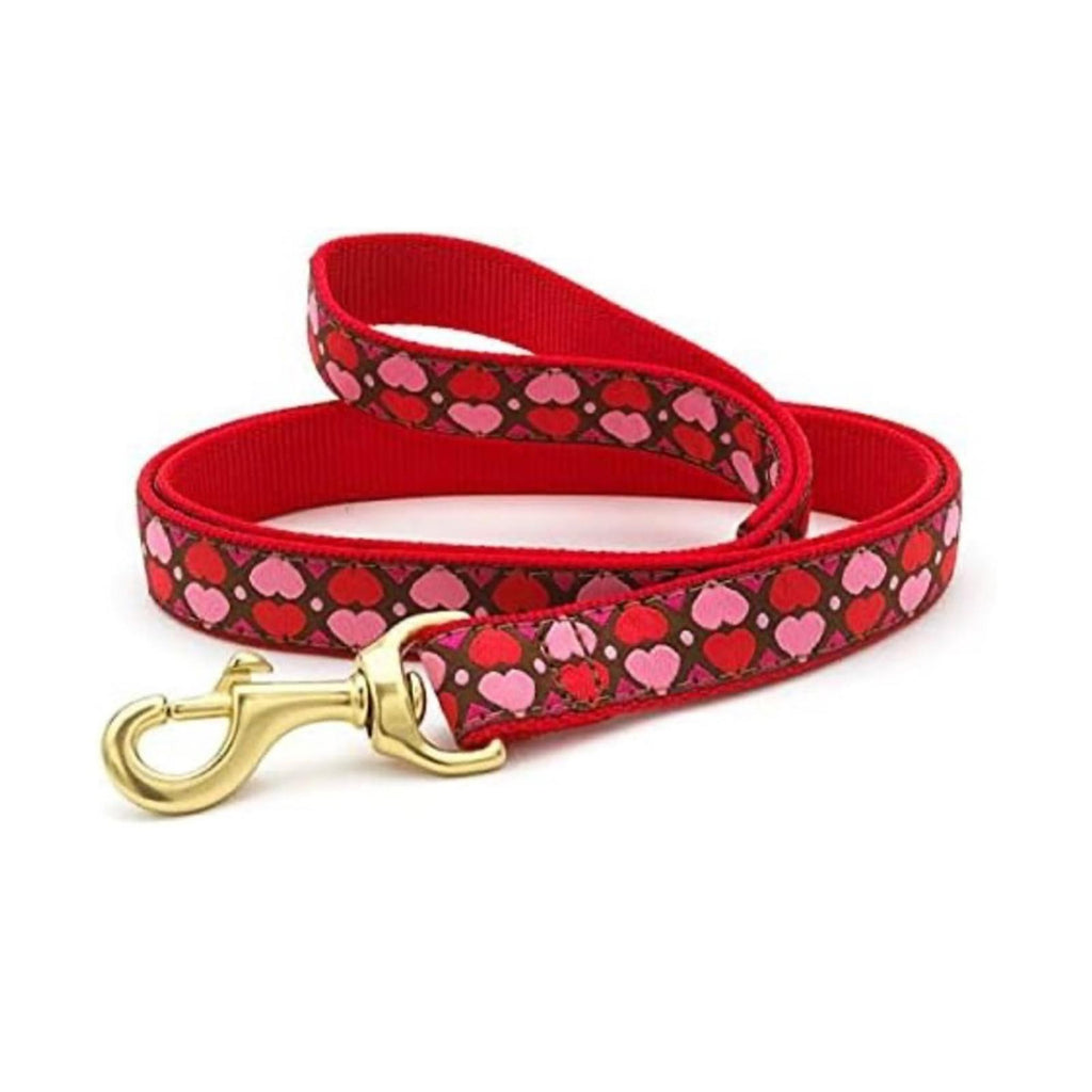 Up Country Valentine and Hearts Pattern Dog Leash, 4 Foot Long 1” Wide Width NWT