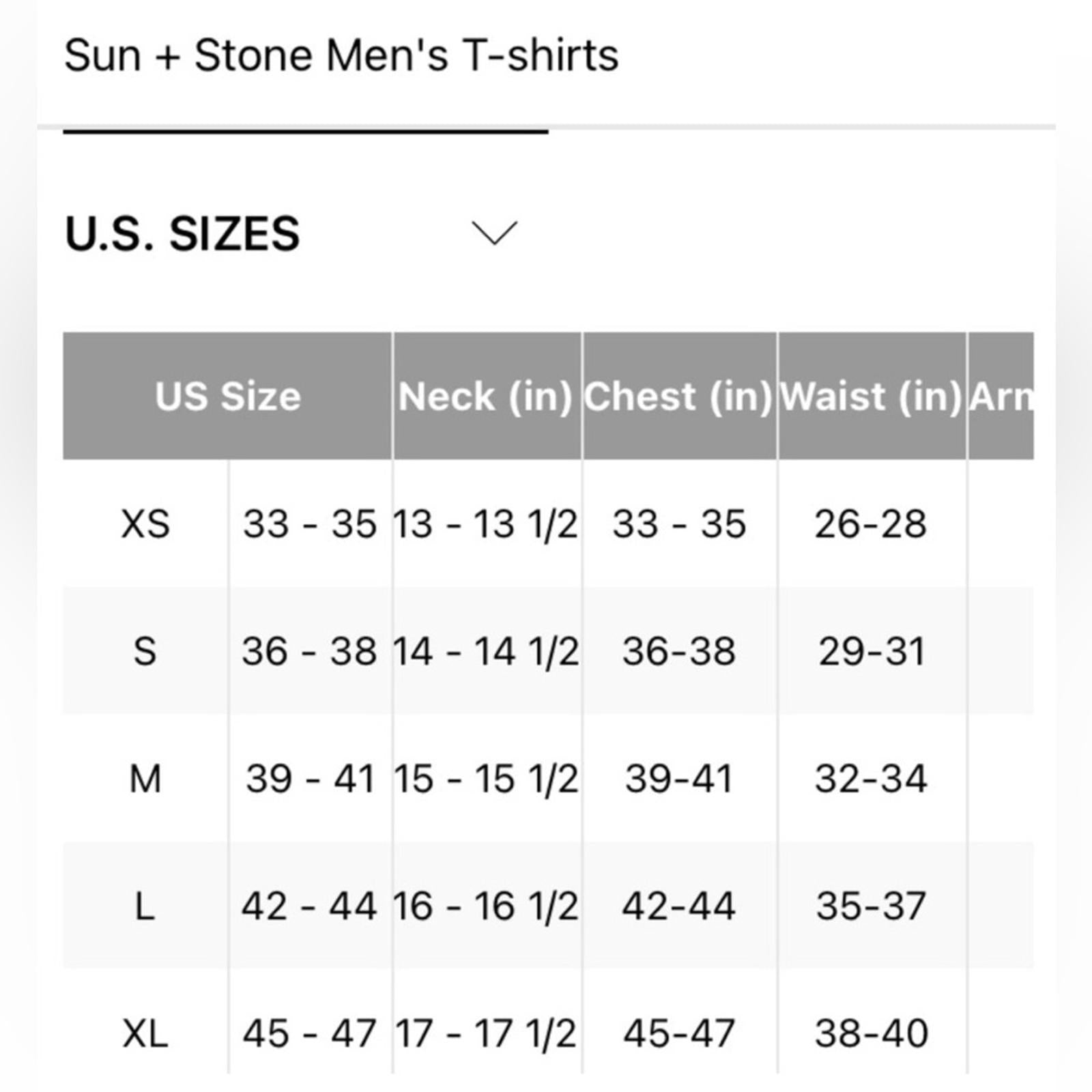 NWT Sun + Stone Men's Mountain Graphic T-Shirt, Sugar Swizzle Size S New w/Tag