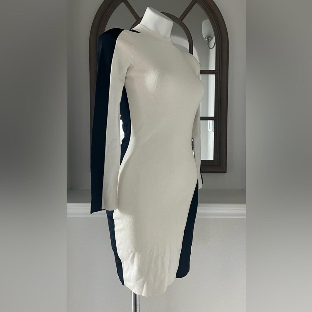 Rag & Bone Cecilee Long-Sleeve Colorblock Sheath Dress REVOLVE, Size XS NEW $395