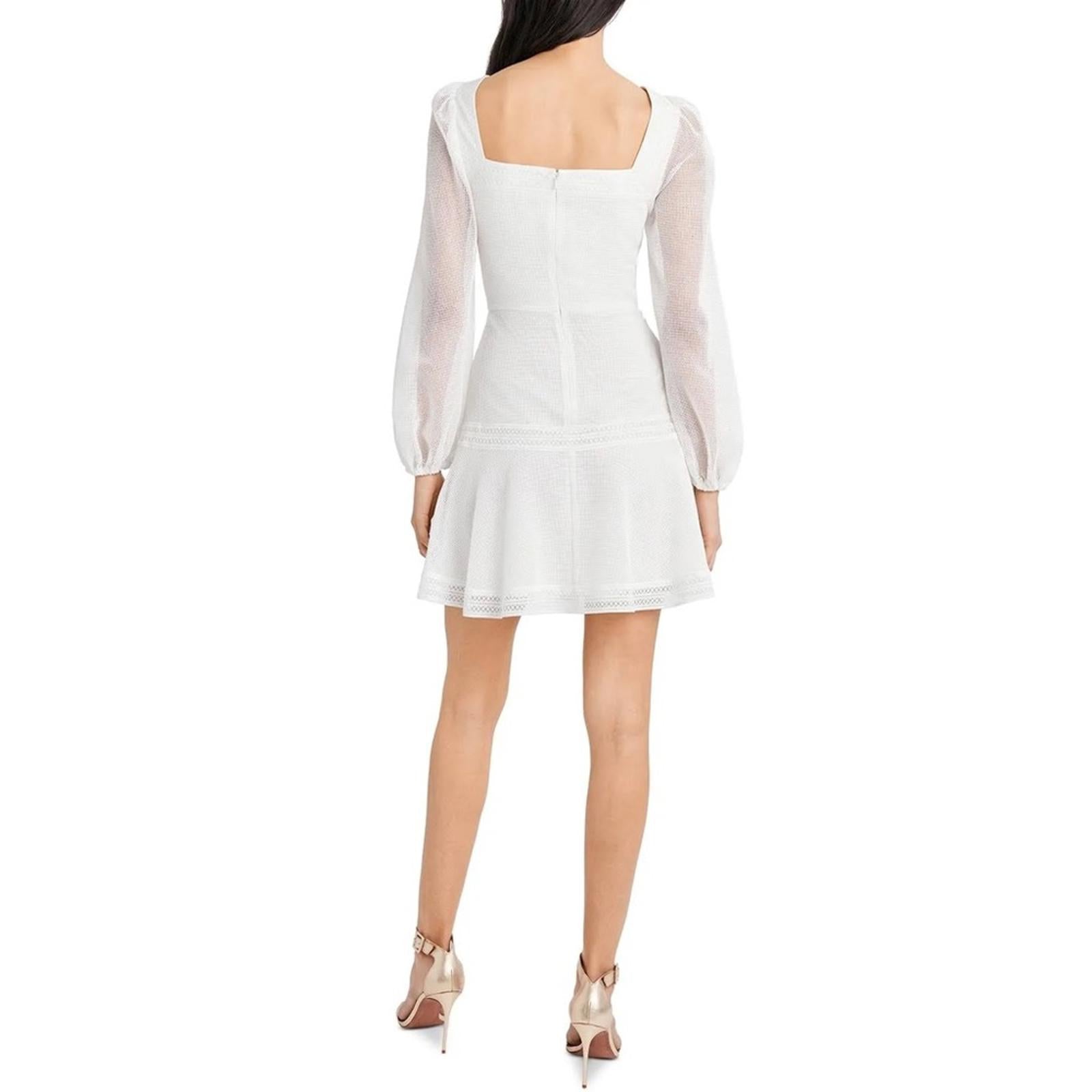 BCBGMaxazria Mesh Mini Dress in Off White, Size 2 New w/Tag Retail $268