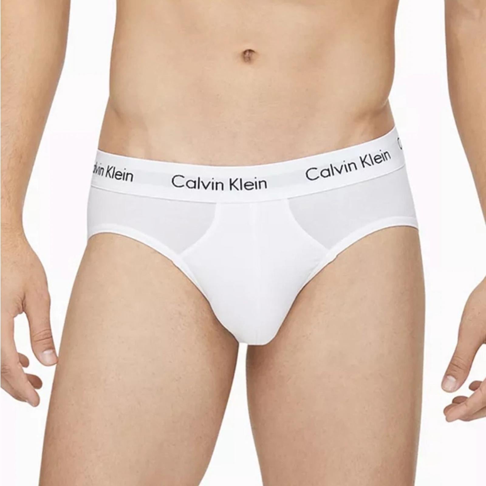 Calvin Klein 2-Pack Cotton Stretch Hip Briefs Underwear in Cream & Gray, Size XL
