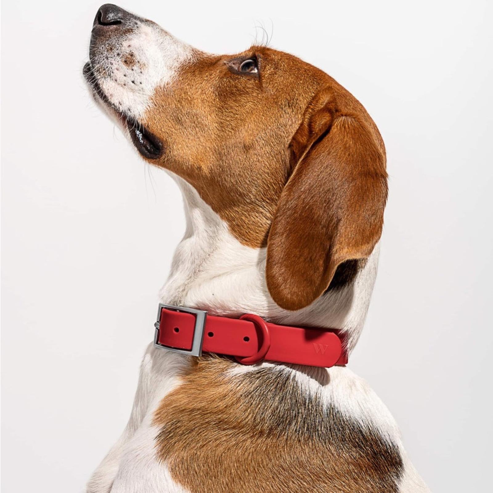 Wild One Collar Size XL - Red New w/Tag