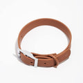 Wild One Collar in Cocoa, Size Small New w/Tag